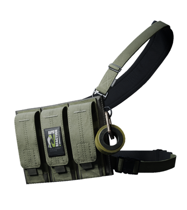Basic Chest Rig