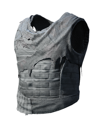 Warrior Vest