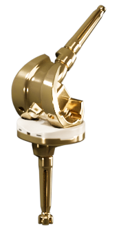 Artificial Knee Joint