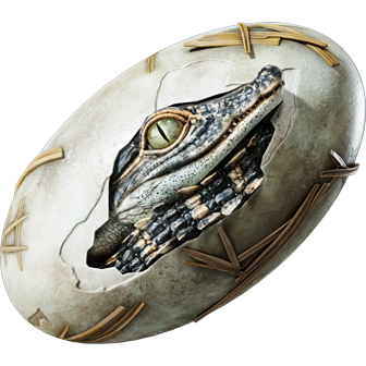 Crocodile Egg