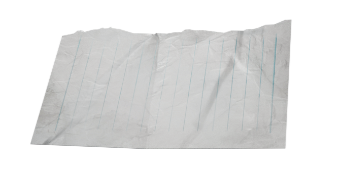 Document Fragment