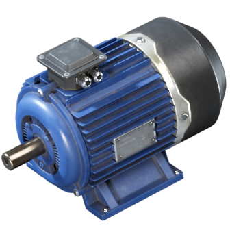 Electric Motor