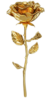 Golden Rose