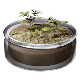 Plant Sample