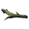Twig