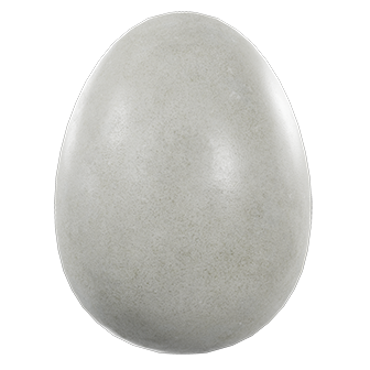 Weird Egg