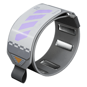 Wristband